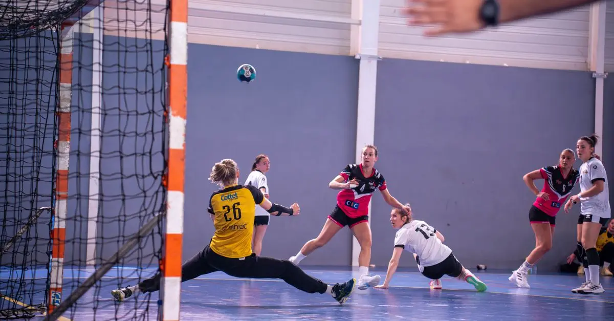 Comment devenir arbitre de handball : Guide complet